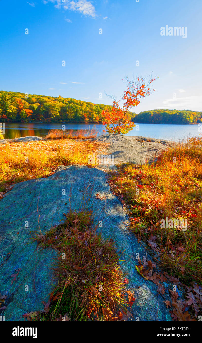 Fall landscape with the forest lake Stock Photo - Alamy