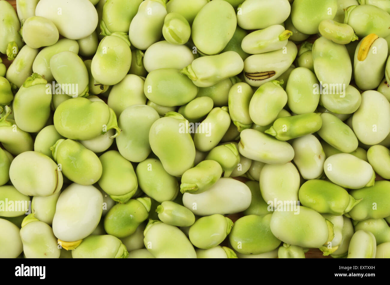 Beans texture hi-res stock photography and images - Alamy