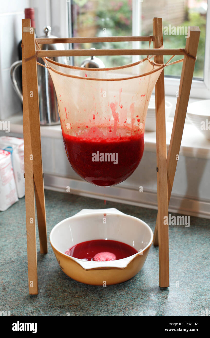 straining fruit that is softened by cooking, through a muslin bag for fruit  jelly making Stock Photo - Alamy