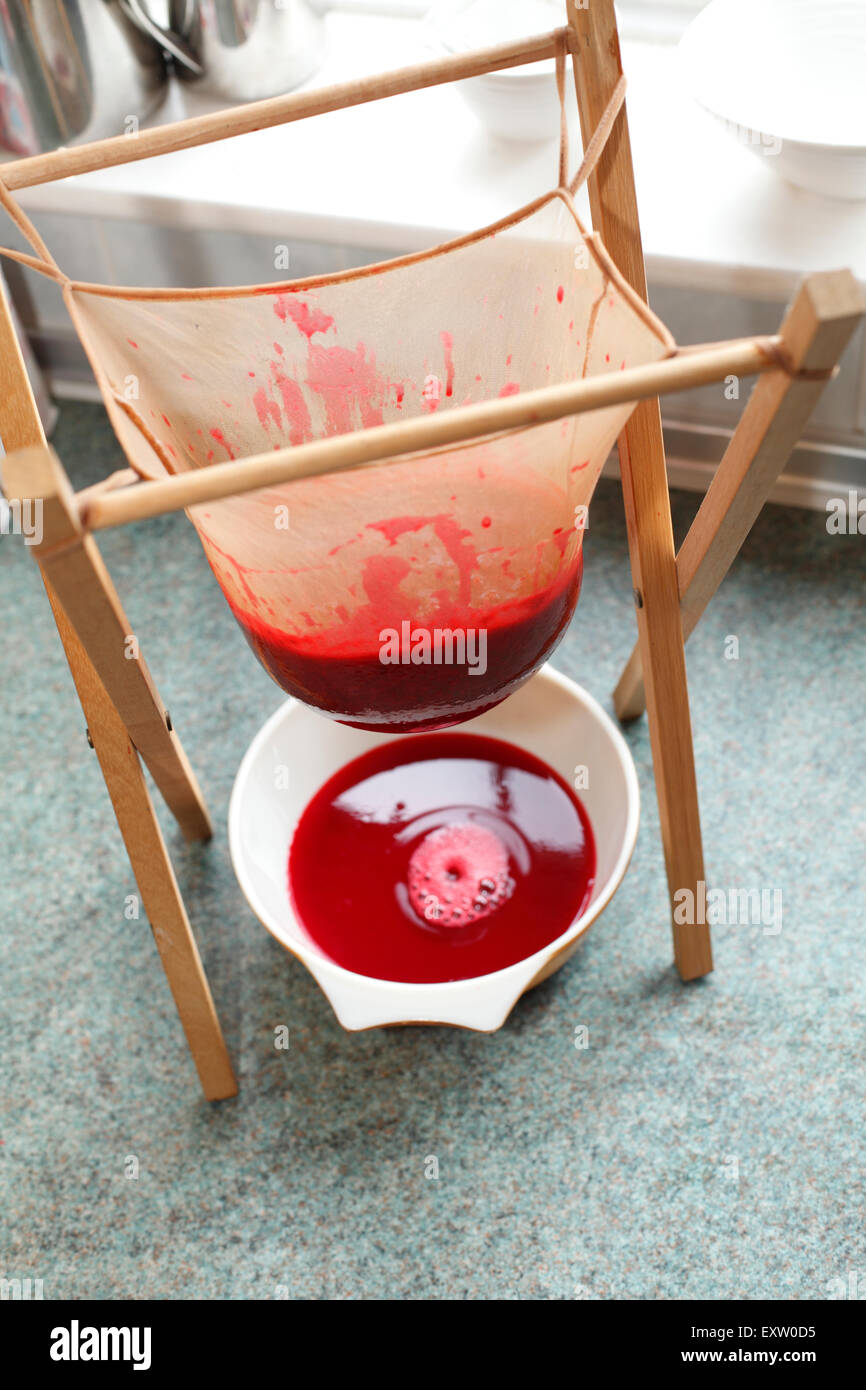 straining fruit that is softened by cooking, through a muslin bag for fruit  jelly making Stock Photo - Alamy