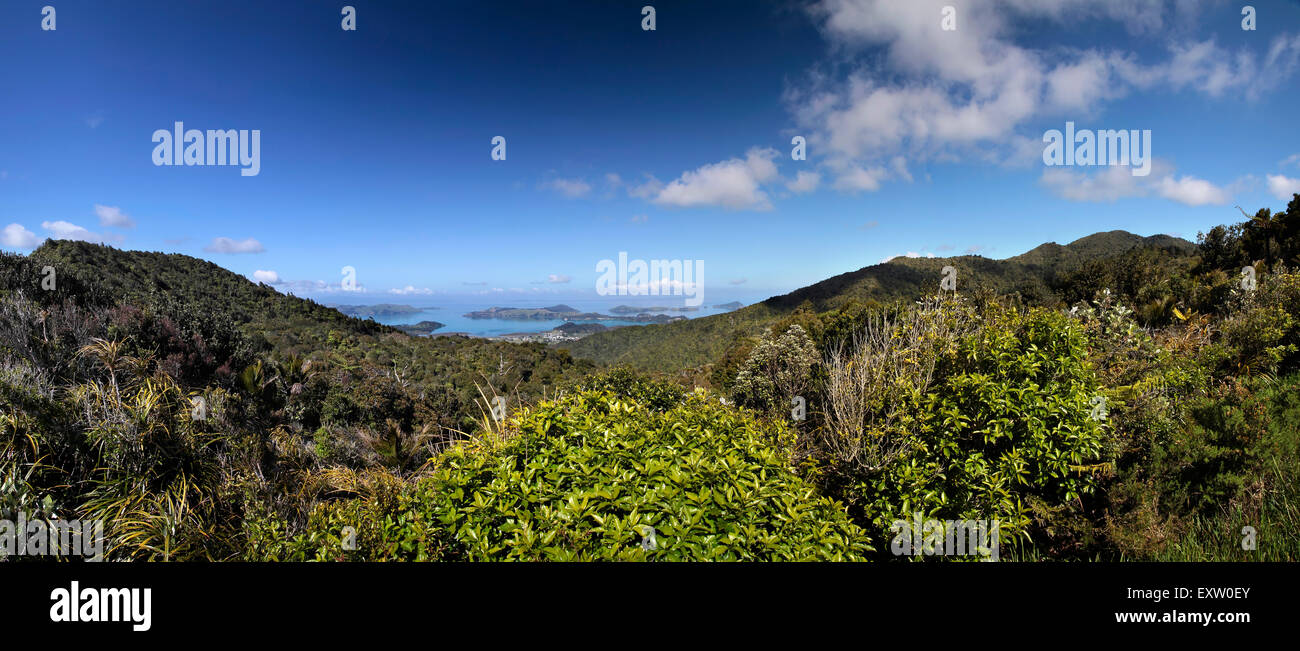 View of Coromandel Town, North Island, New Zealand Stock Photo Alamy