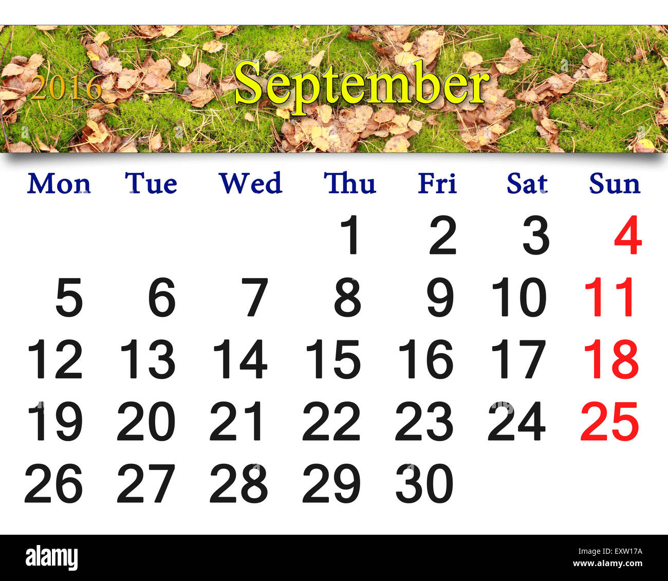calendar for September 2016 with the ribbon of moss and leaves Stock ...