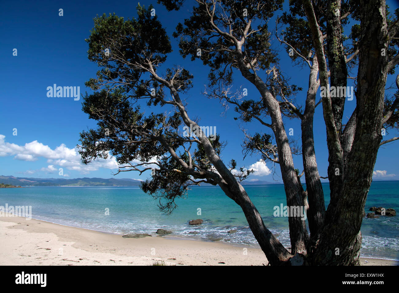 Coast line at Kuaotunu Bay,  Coromandel Peninsula, New Zealand Stock Photo