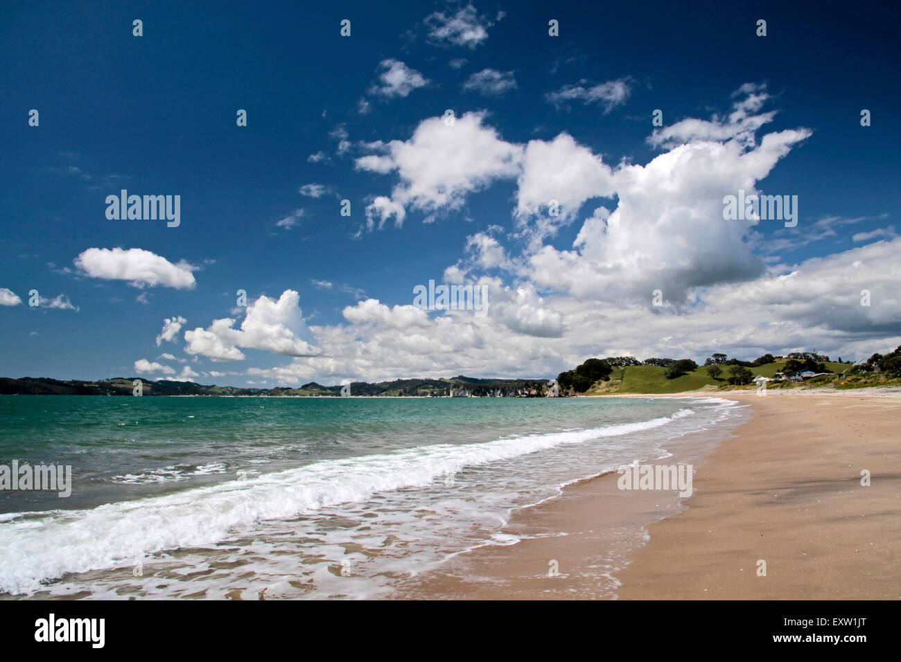 Lonely shore at Whitianga, Coromandel Peninsula, New Zealand Stock Photo