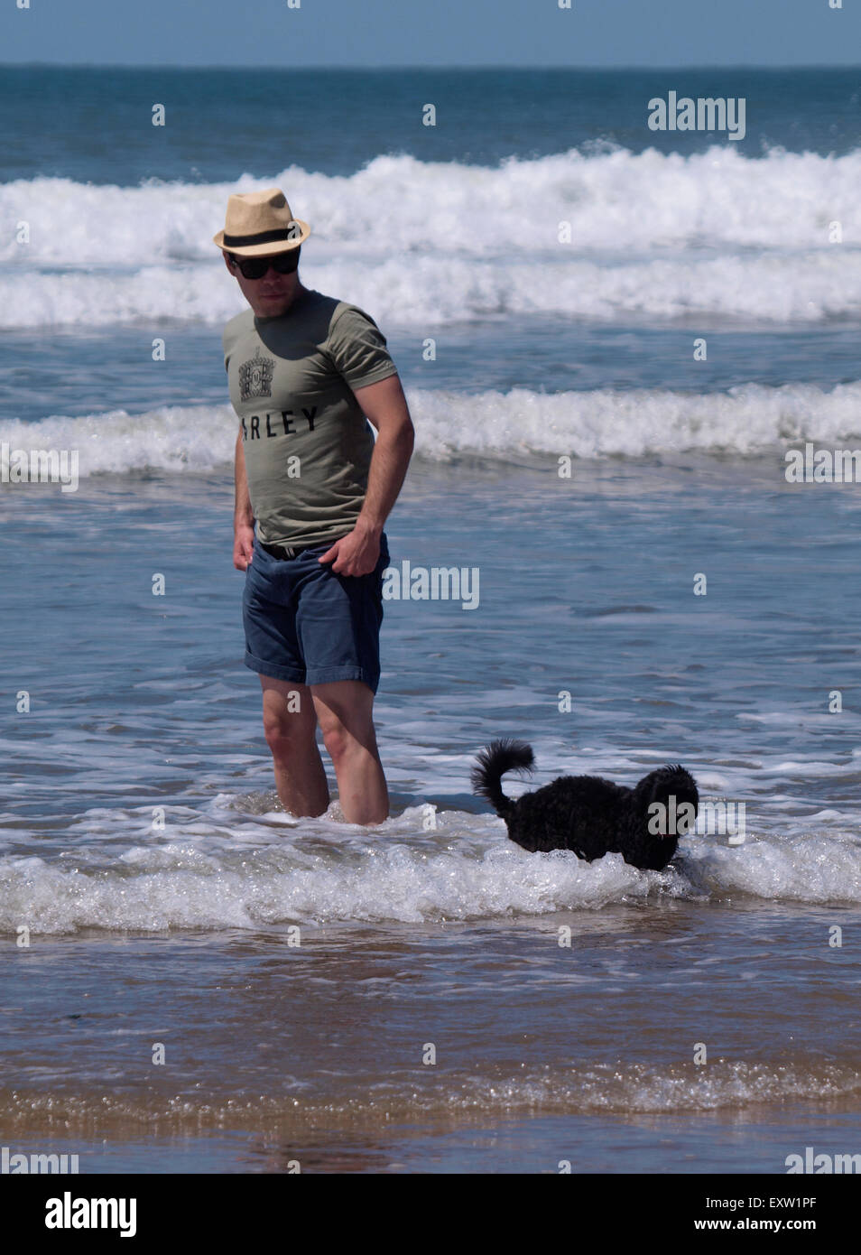 Man and dog paddling in the sea, Woolacombe, Devon, UK Stock Photo