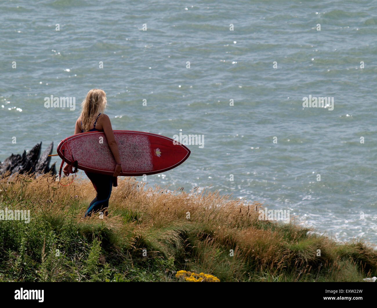 Female surfer board hi-res stock photography and images - Alamy