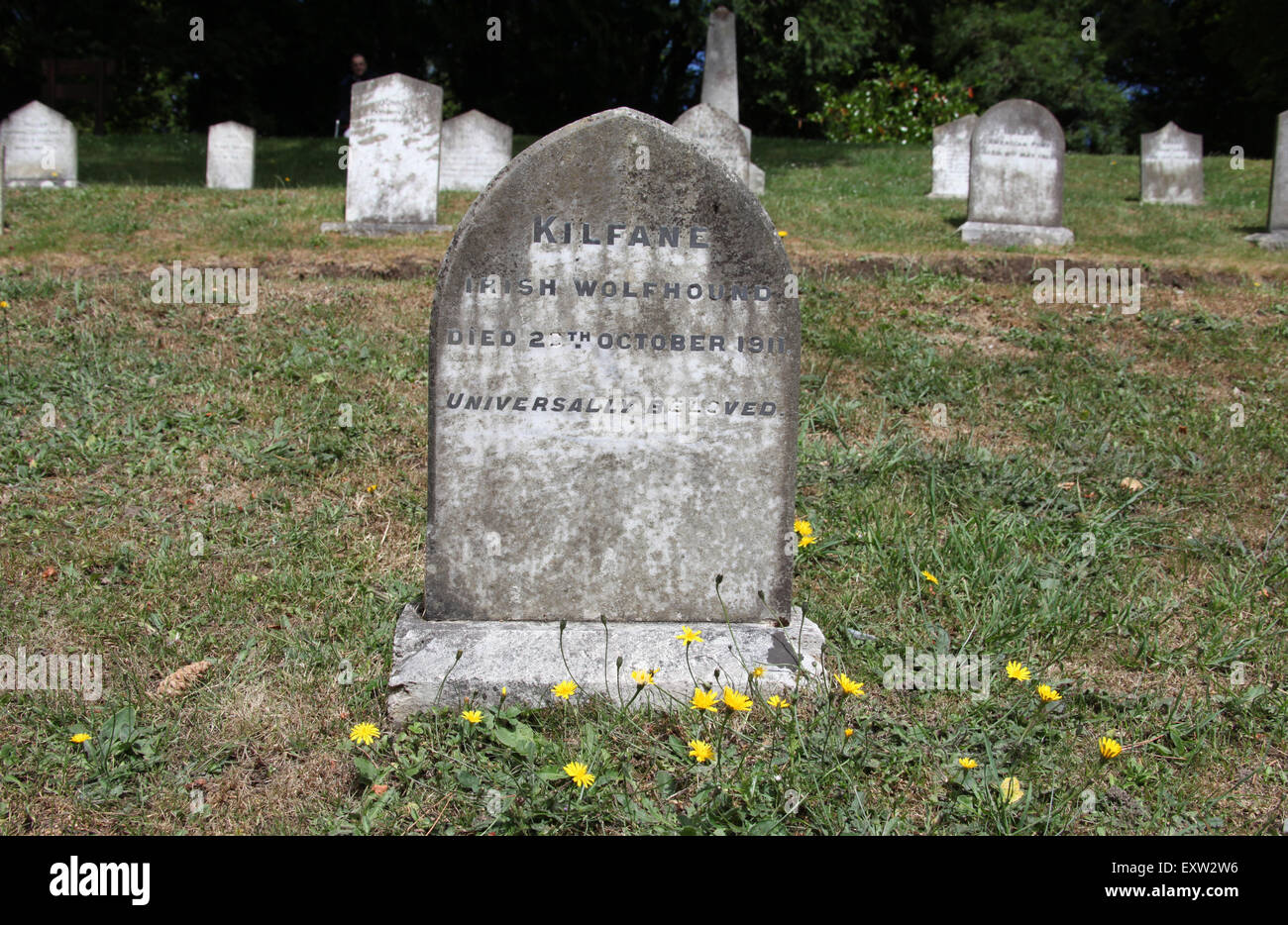Grave of Kilfane the famous Irish Wolfhound at Powerscourt Pets