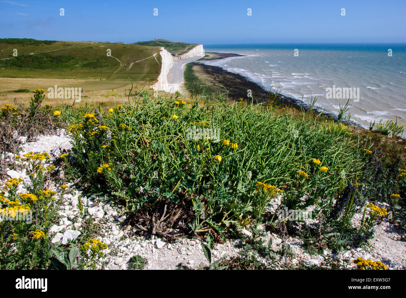 Along the chalk cliffs of Seven Sisters from above Birling Gap in East Sussex England Stock Photo