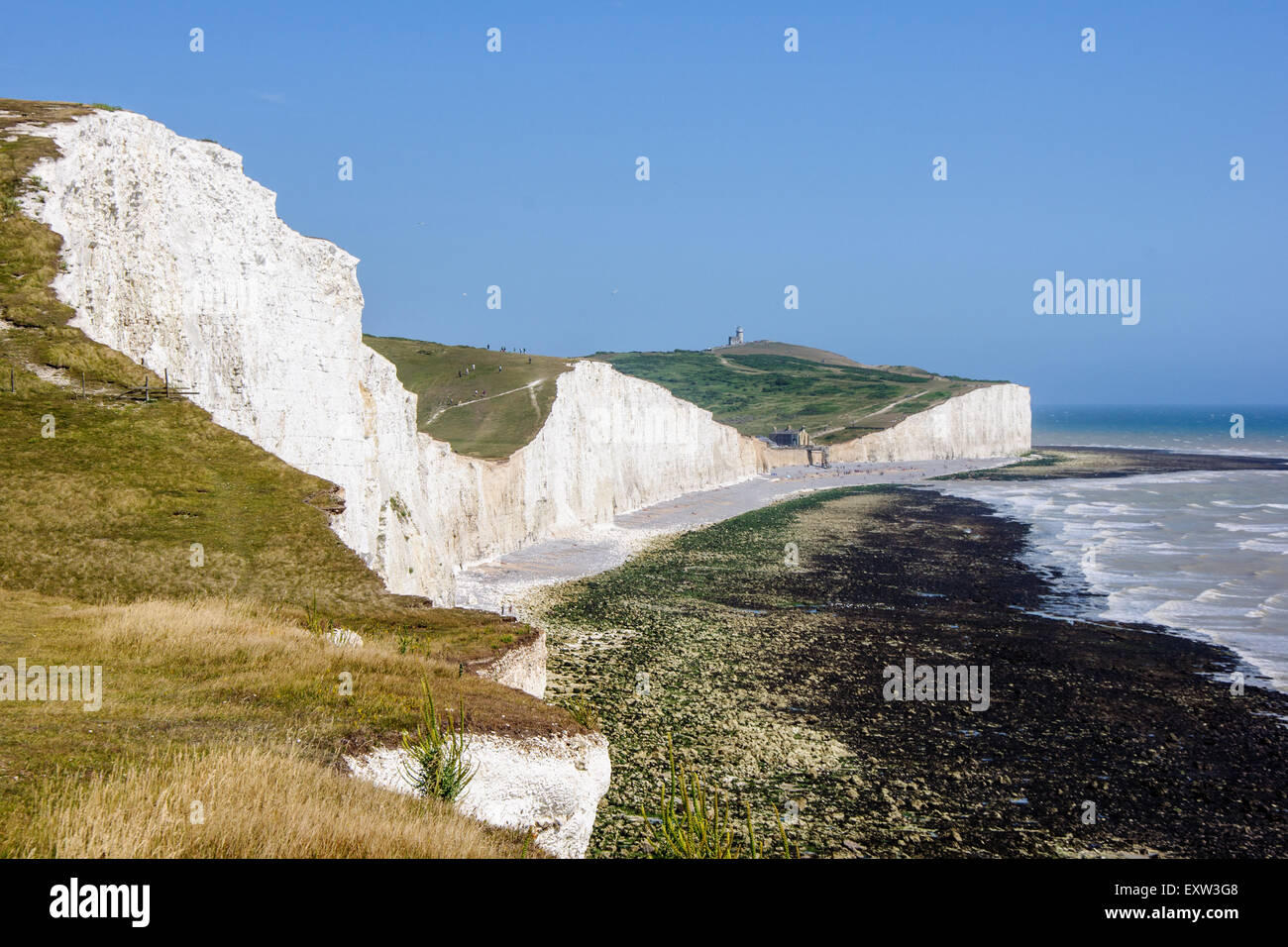 Along the chalk cliffs of Seven Sisters from above Birling Gap in East Sussex England Stock Photo