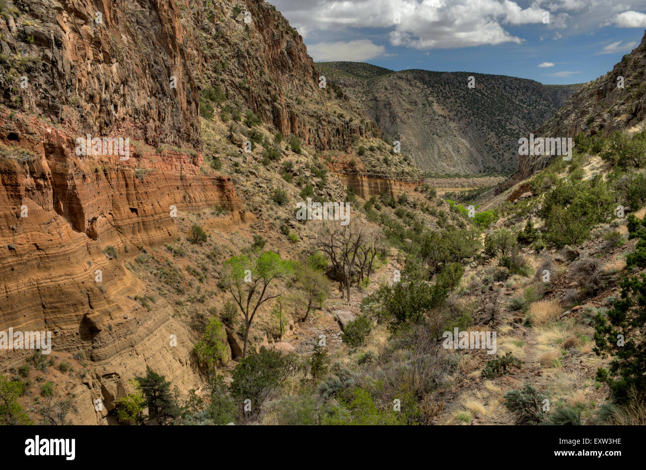 Lower Frijoles Canyon in the Bandelier National Monument, Los Alamos, New Mexico. Stock Photo