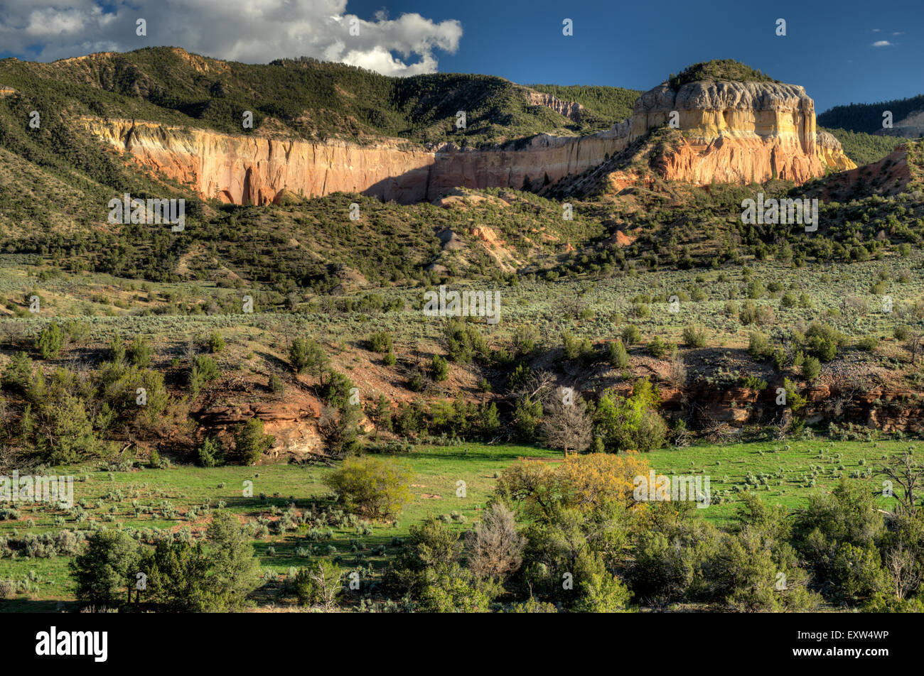 A spectacular outcrop of Entrada Formation sandstone above the Rio Chama upstream of Abiquiu, New Mexico Stock Photo
