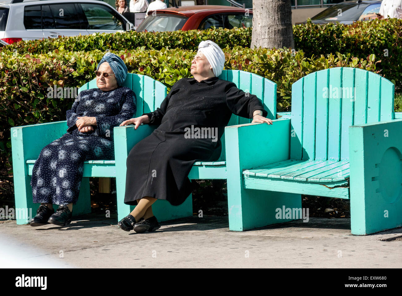 Florida senior citizen bench hires stock photography and images Alamy
