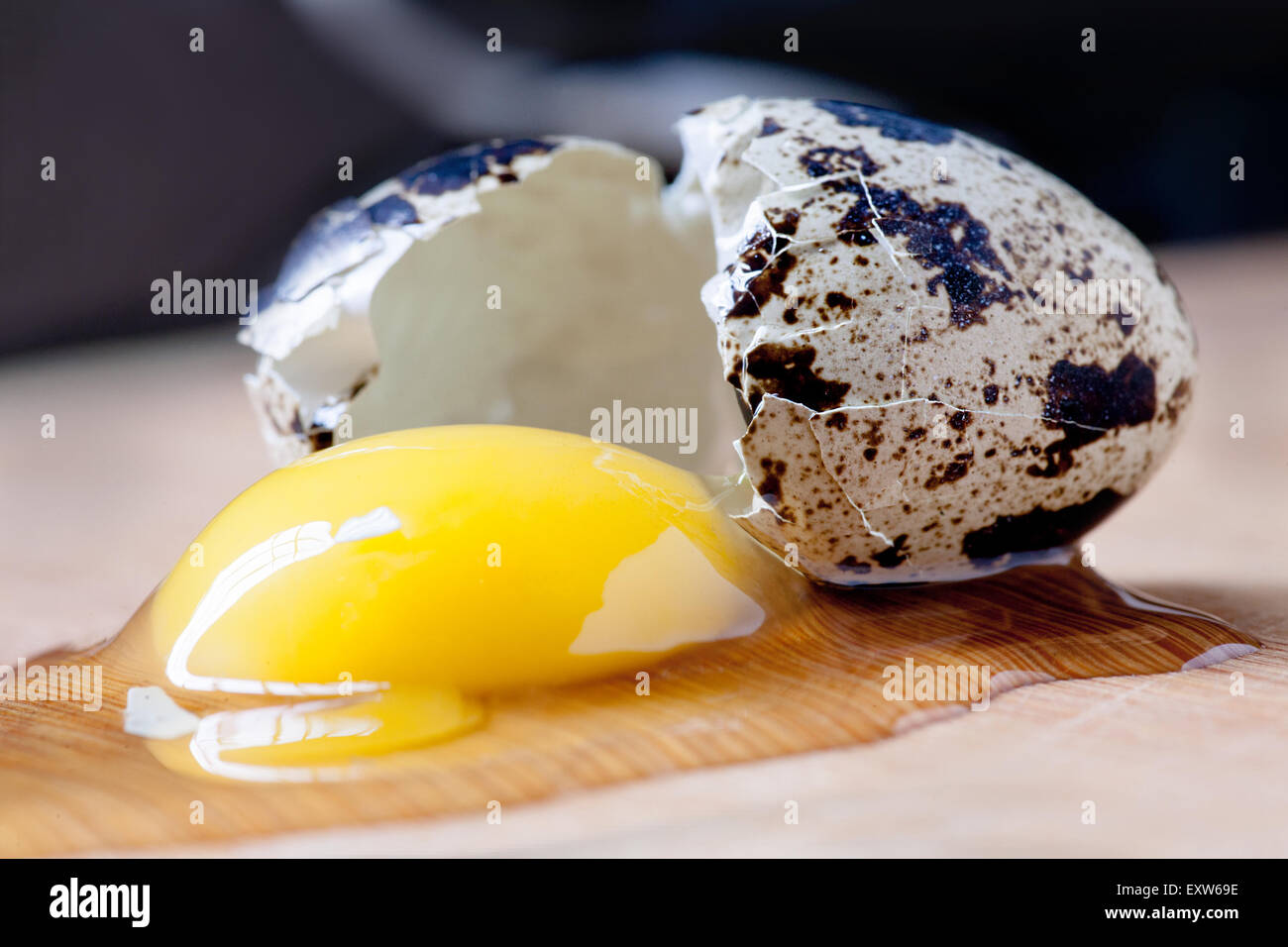 Broken quail egg side view macro image Stock Photo