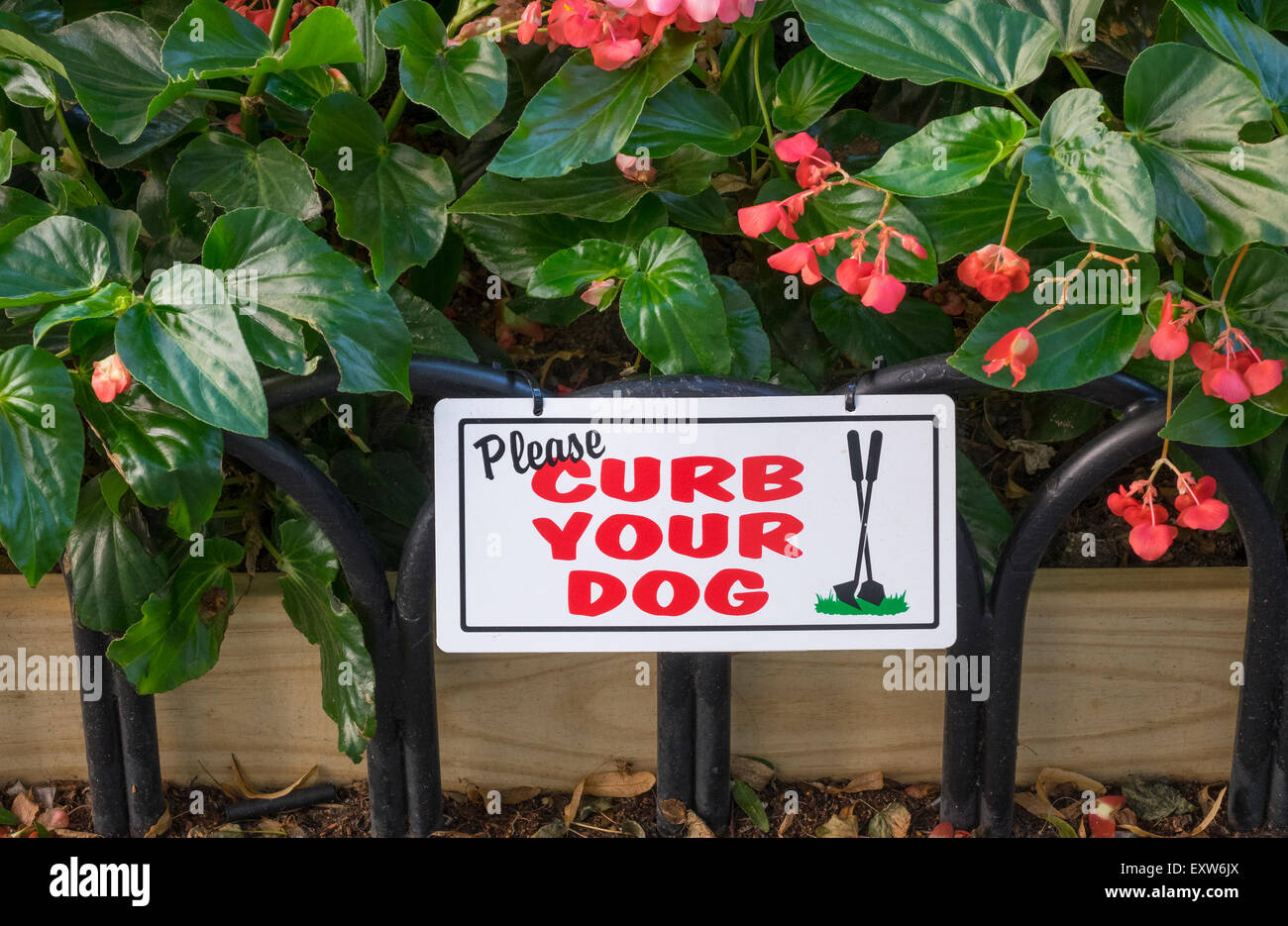 Curb Your Dog sign on flower bed in New York City Stock Photo