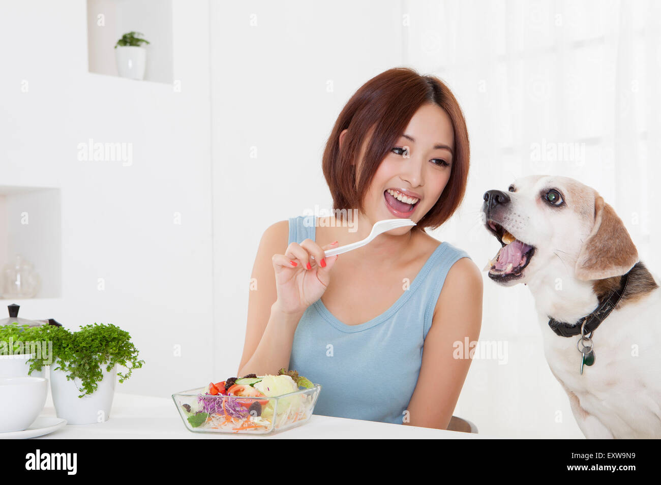 Young woman looking at dog with smile, Stock Photo