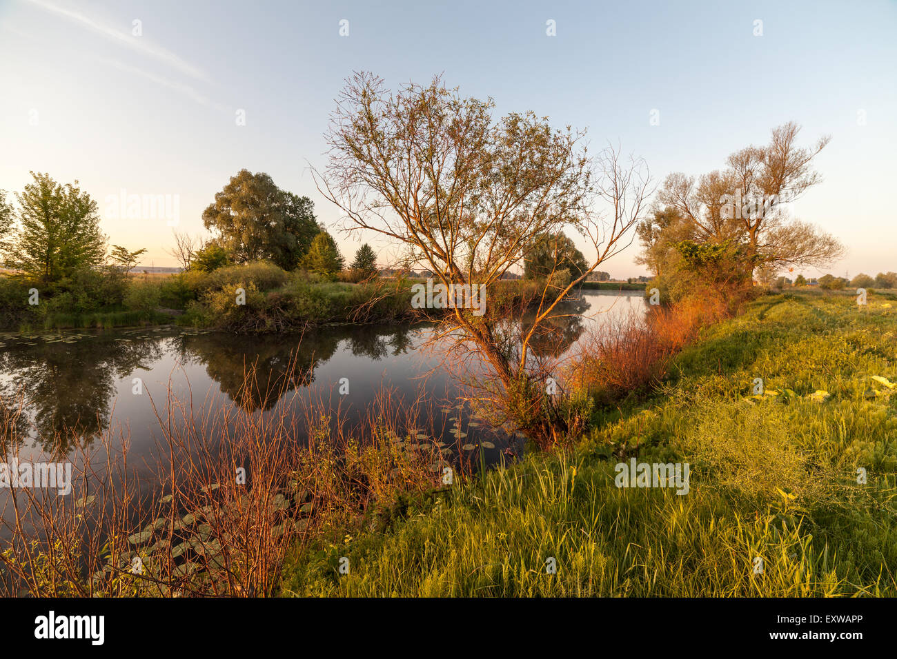 summer sunrise over the river with a fog Stock Photo - Alamy