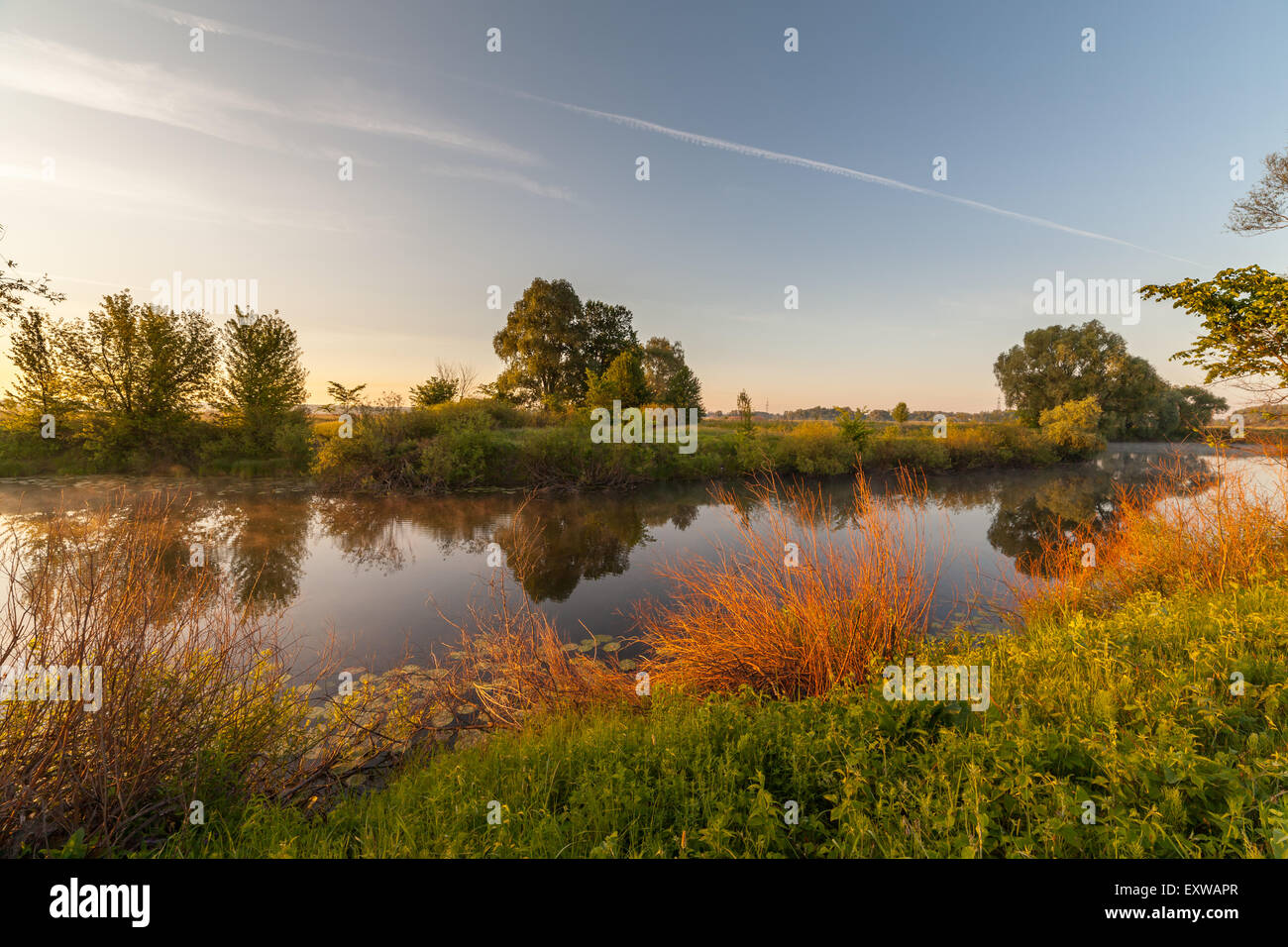summer sunrise over the river with a fog Stock Photo - Alamy