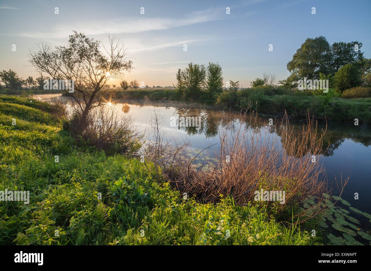 summer sunrise over the river with a fog Stock Photo - Alamy