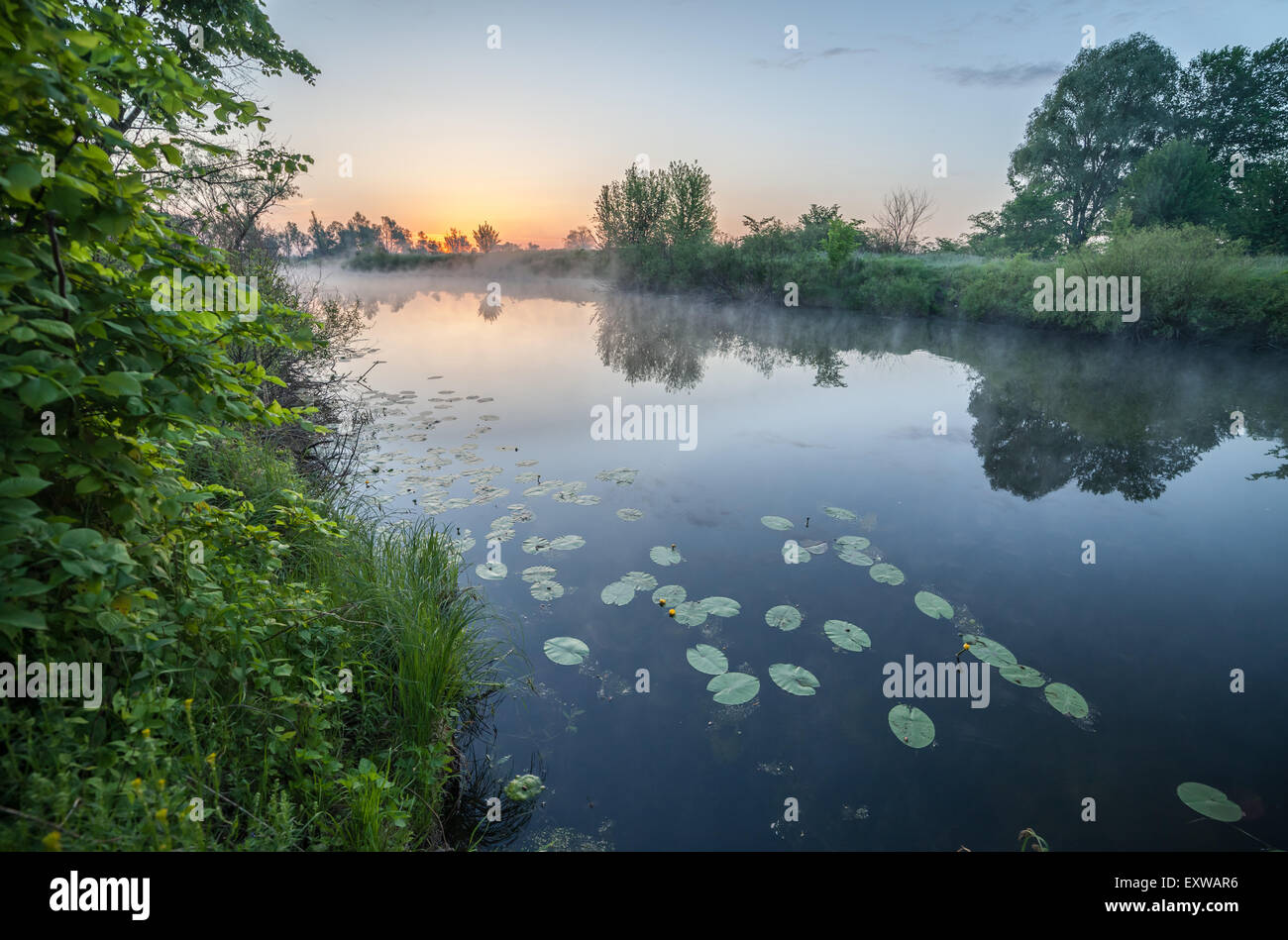 summer sunrise over the river with a fog Stock Photo - Alamy