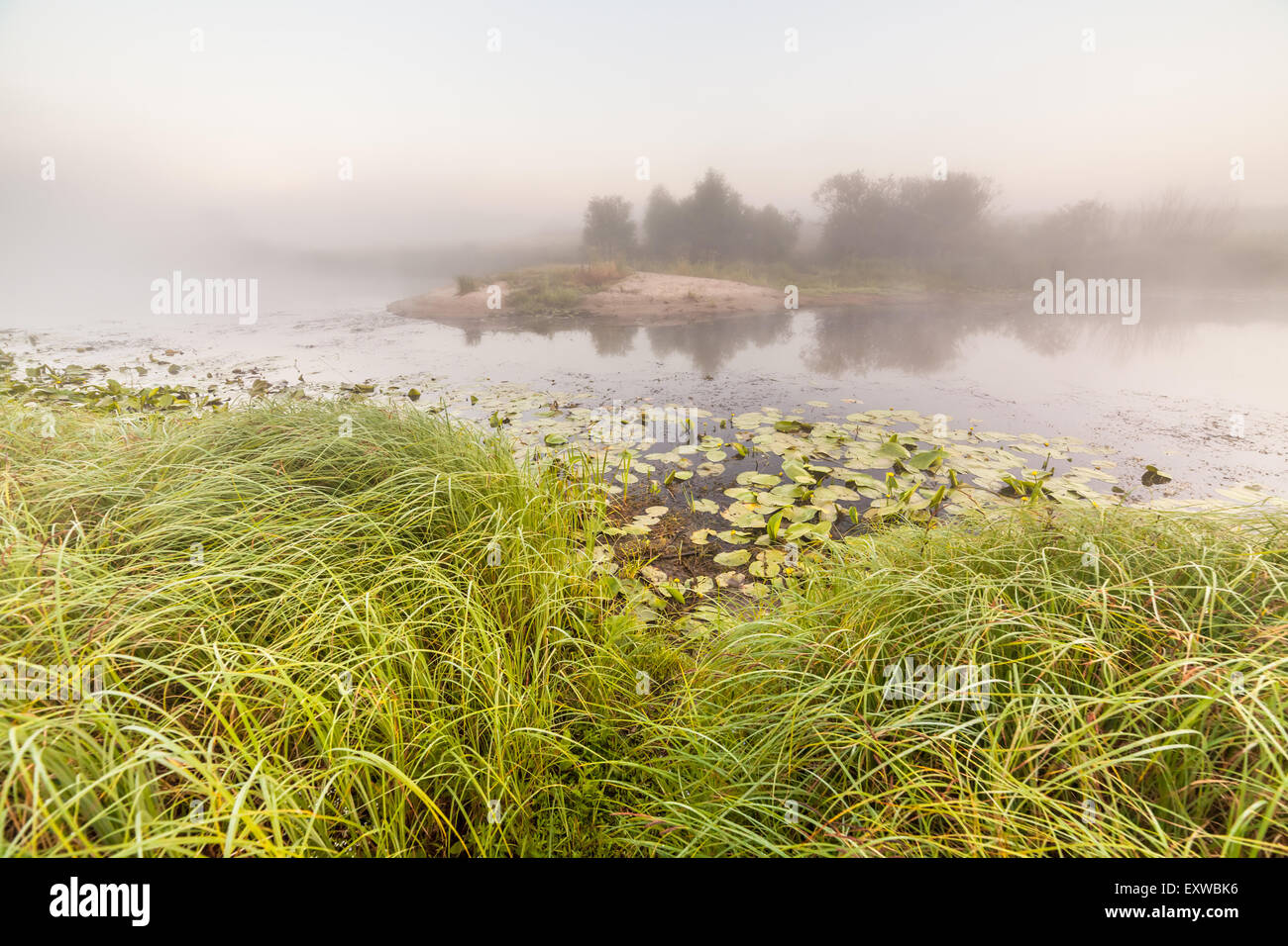 summer sunrise over the river with a fog Stock Photo - Alamy