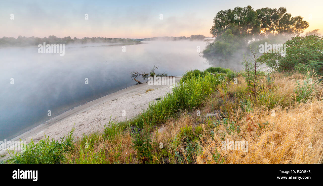 Sunrise over a pasture with horse hi-res stock photography and images ...