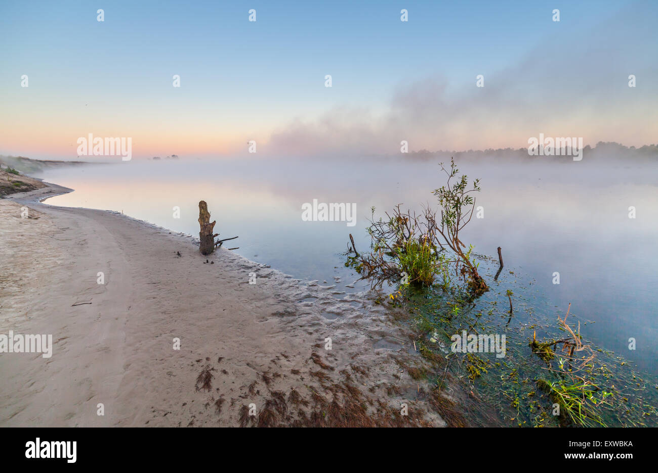 summer sunrise over the river with a fog Stock Photo - Alamy