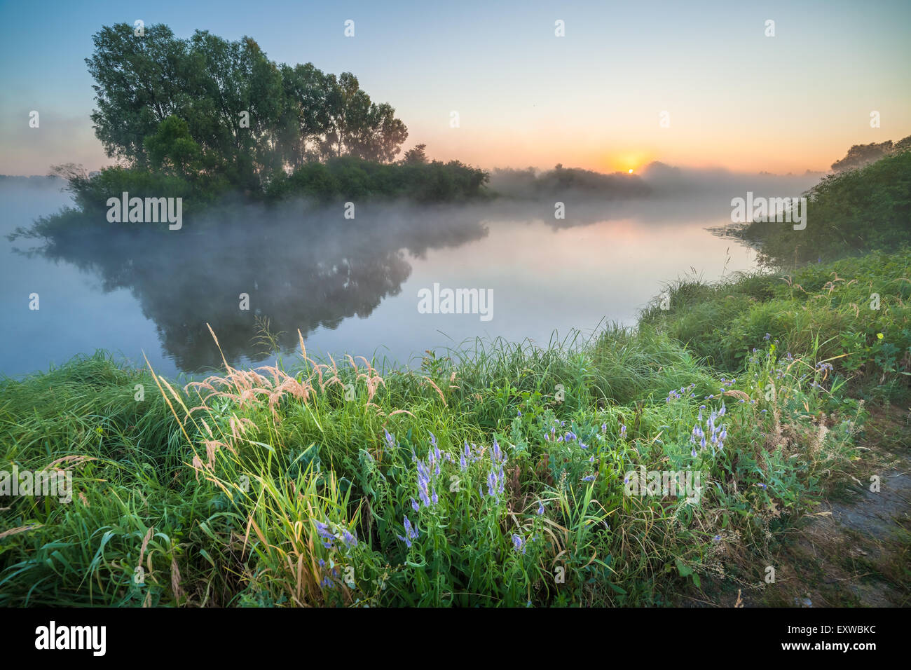 summer sunrise over the river with a fog Stock Photo - Alamy