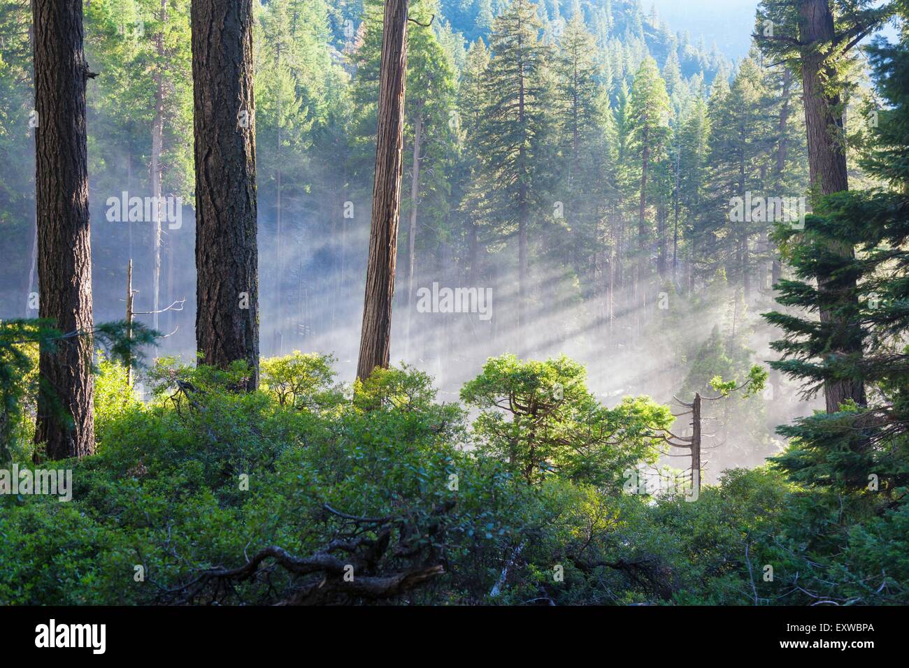 Mist Trail, Yosemite National Park, California, USA Stock Photo