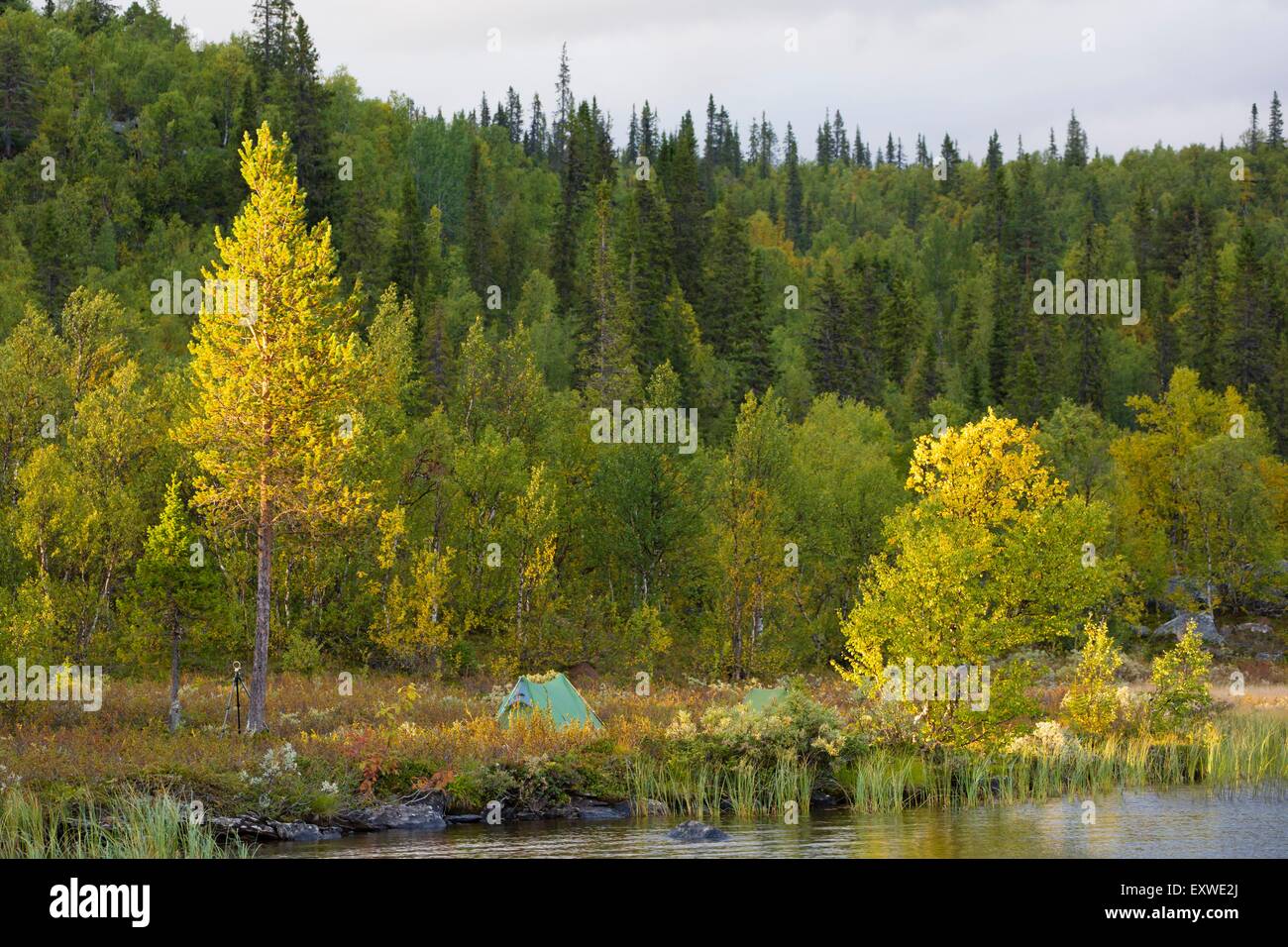 National Park Sarek, Sweden, Europe Stock Photo