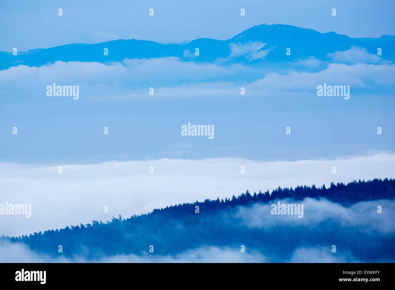 Hohneck, Voges Mountains, France, Europe Stock Photo