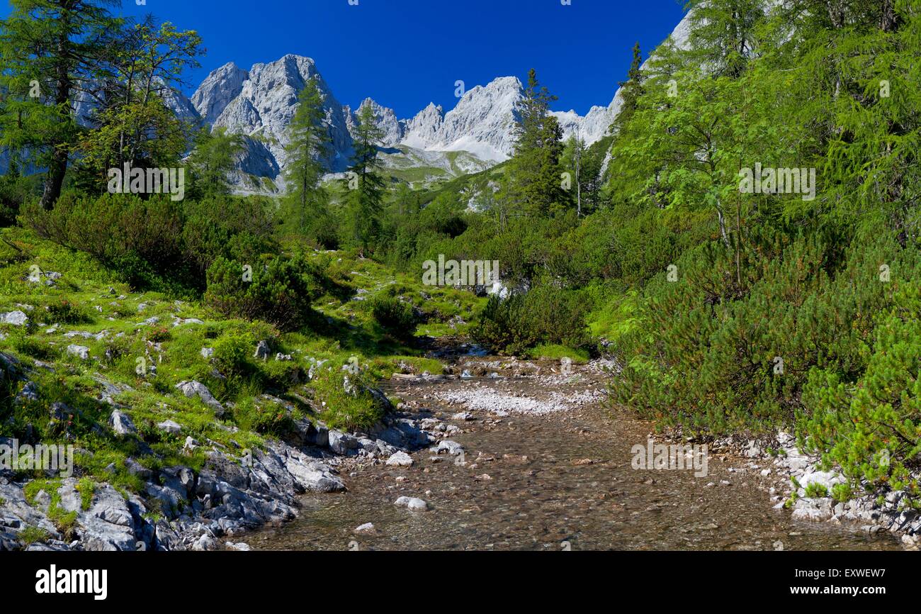 Mountain brook in Mieminger Gebirge, Tyrol, Austria Stock Photo