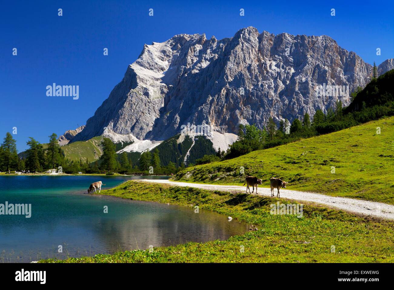 Seebensee with Zugspitze, Tyrol, Austria Stock Photo - Alamy