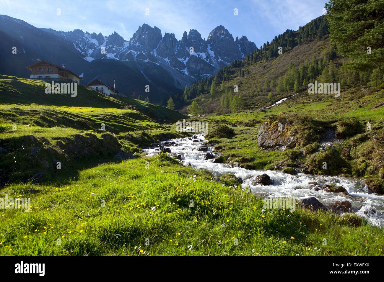 Grinzens, Kalkkoegel, Kemater Alm, Tyrol, Austria Stock Photo