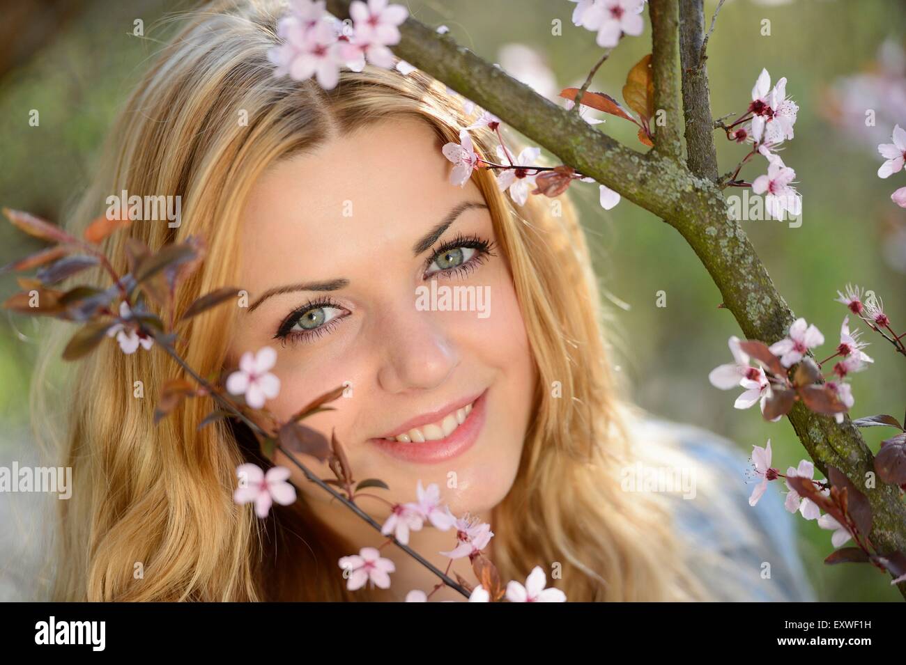 Young woman at blooming cherry tree, portrait Stock Photo - Alamy