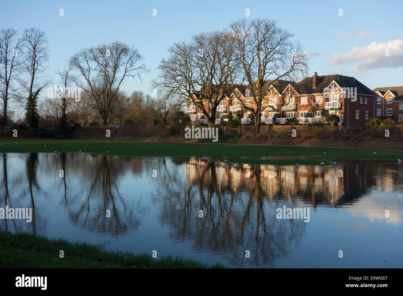 Flood water in Molesey residential area, Surrey, UK Stock Photo