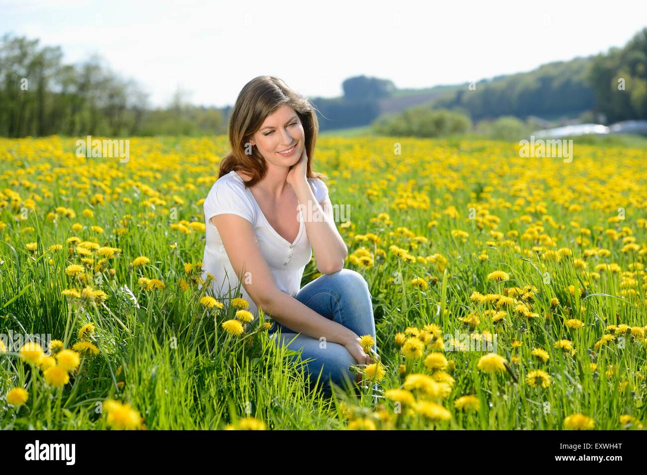 Young woman in a meadow, Bavaria, Germany, Europe Stock Photo