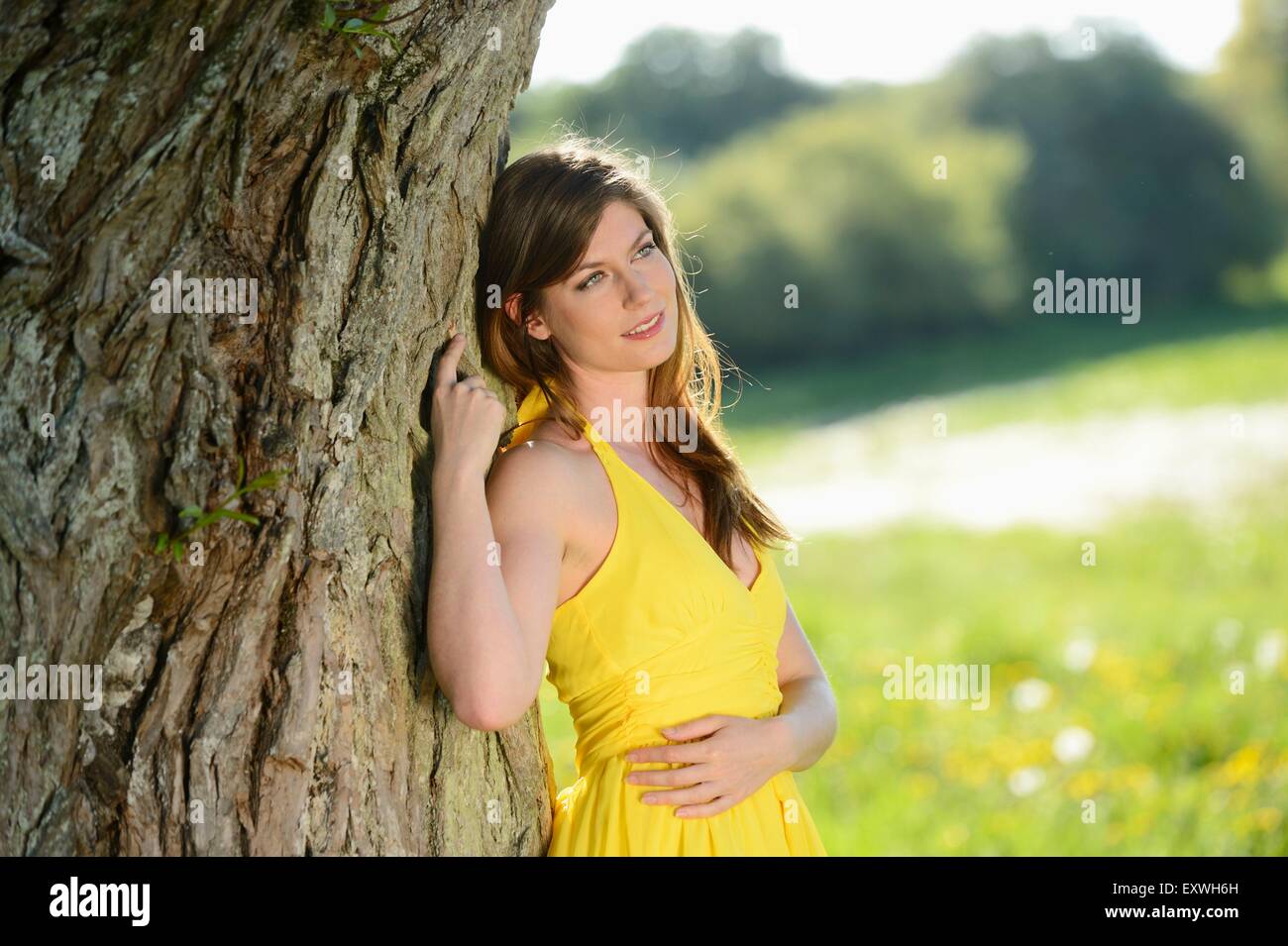 Young woman at a tree, Bavaria, Germany, Europe Stock Photo