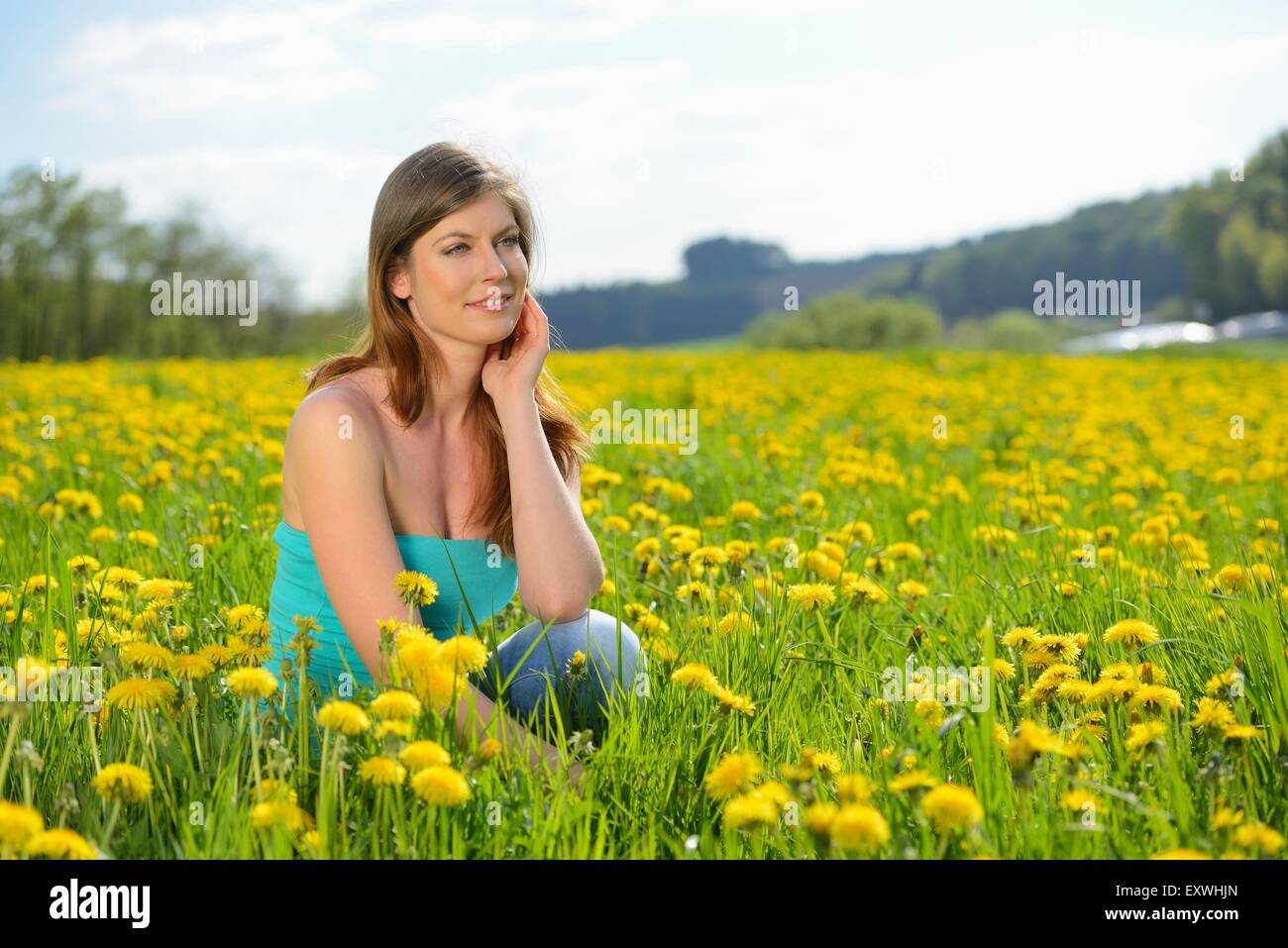 Young woman in a meadow, Bavaria, Germany, Europe Stock Photo
