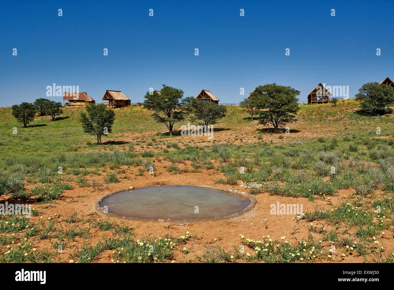 Rooiputs Lodge, Kgalagadi Transfrontier Park, Kalahari, South Africa, Botsuana Stock Photo
