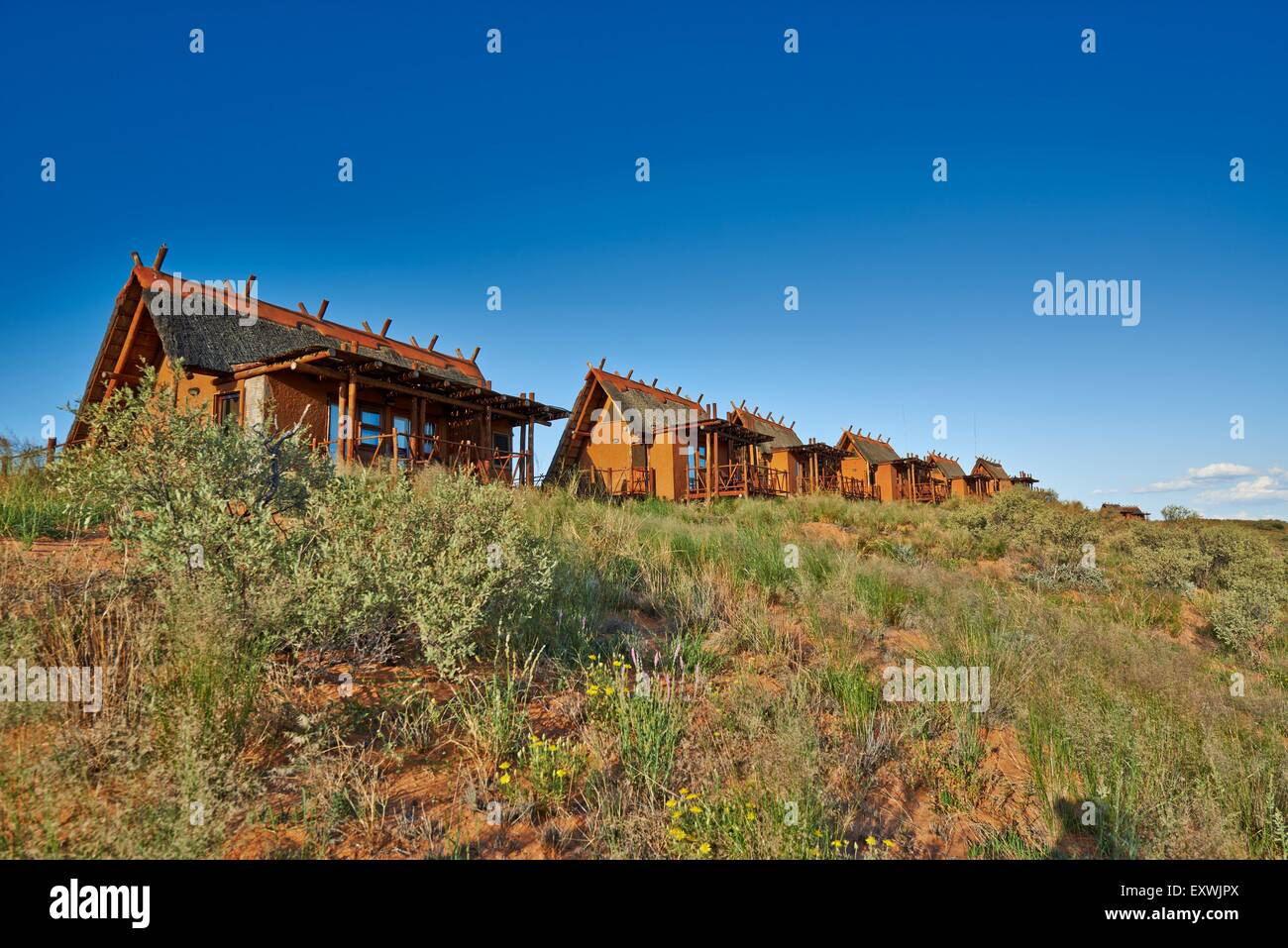 Xaus Lodge, Kgalagadi Transfrontier Park, Kalahari, South Africa, Botsuana Stock Photo