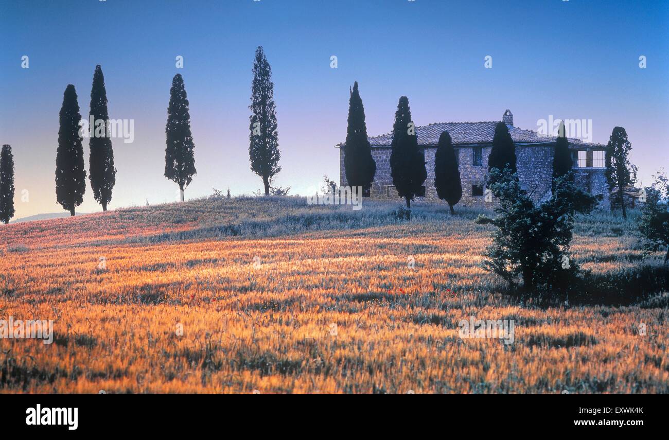 Homestead with cypresses near Pienza, Tuscany, Italy Stock Photo