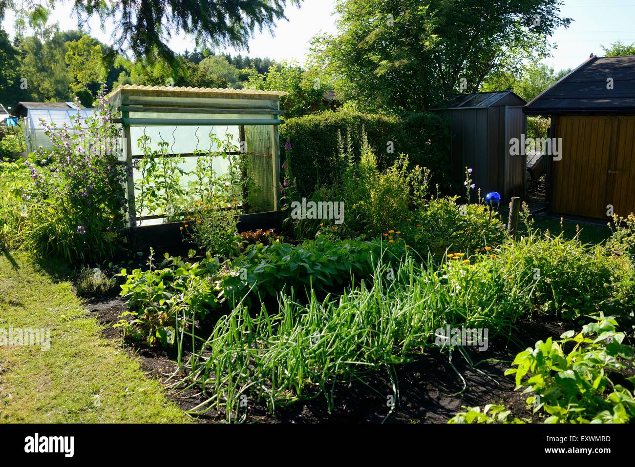 Little vegetable garden, Bavaria, Germany Stock Photo Alamy