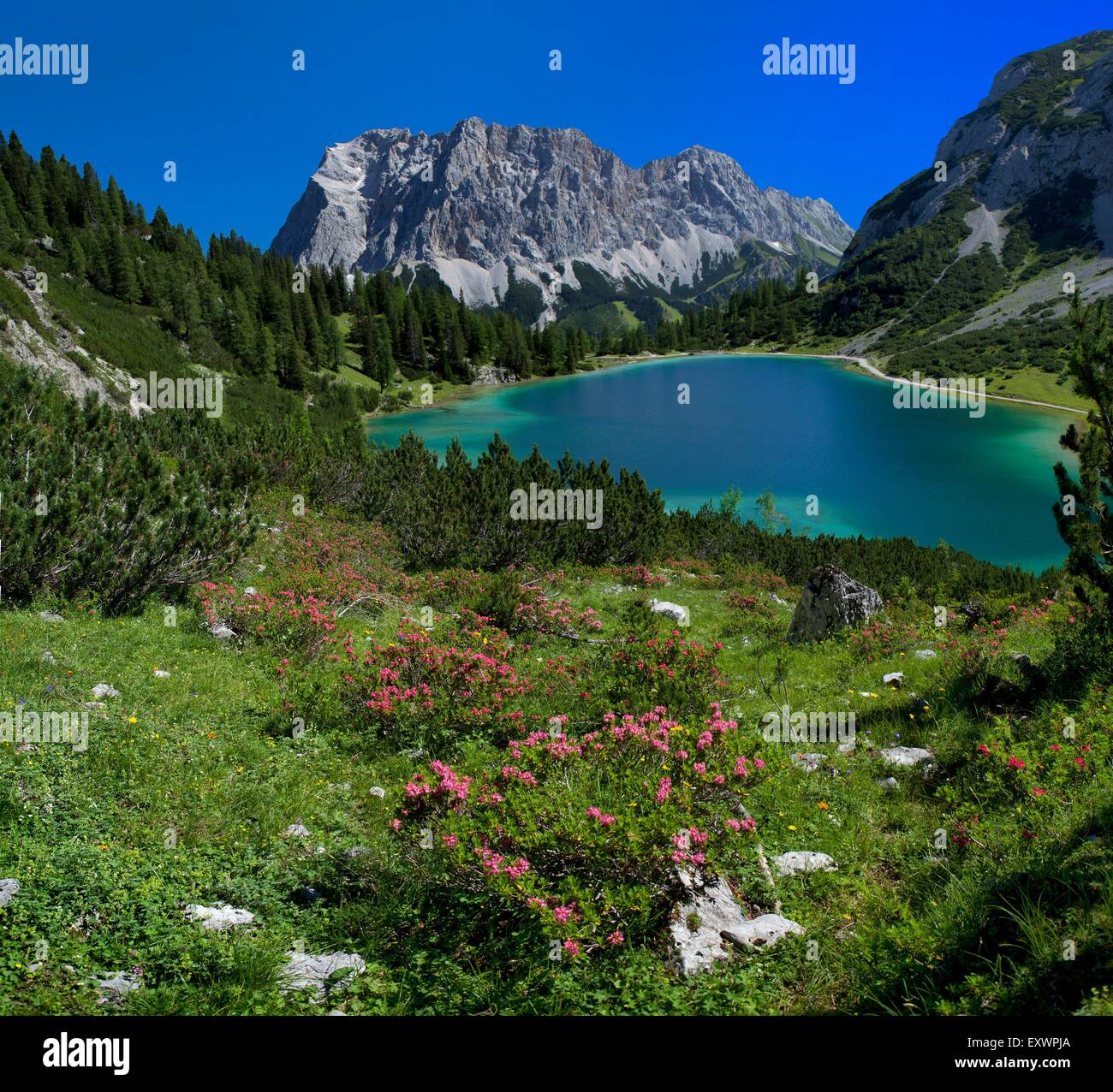 Seebensee looking to the zugspitze hi-res stock photography and images ...