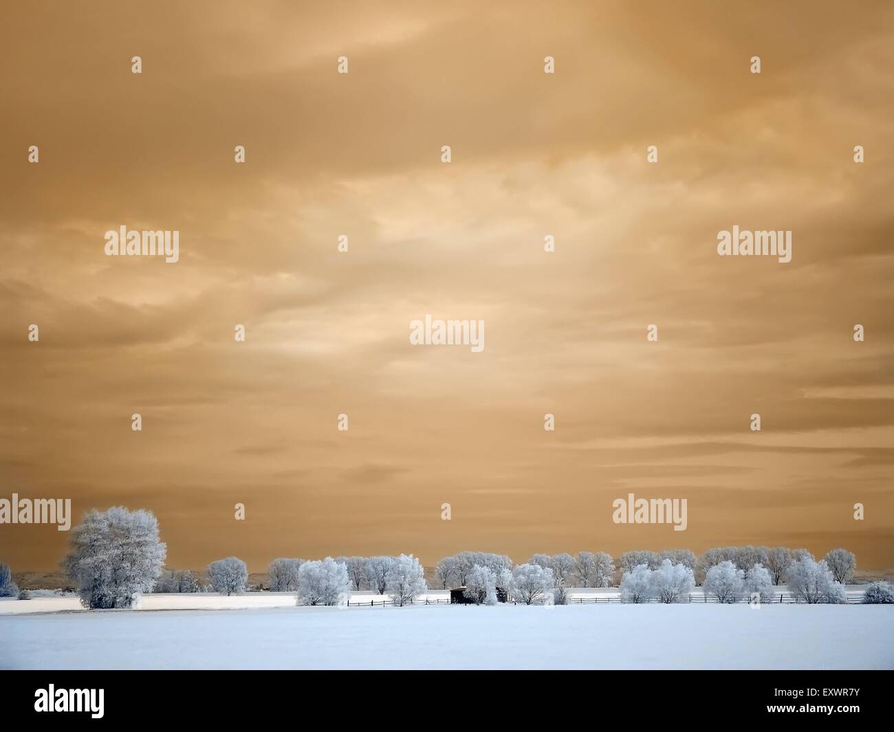 Landscape at Kuehkopf, Hesse, Germany, infrared photography Stock Photo