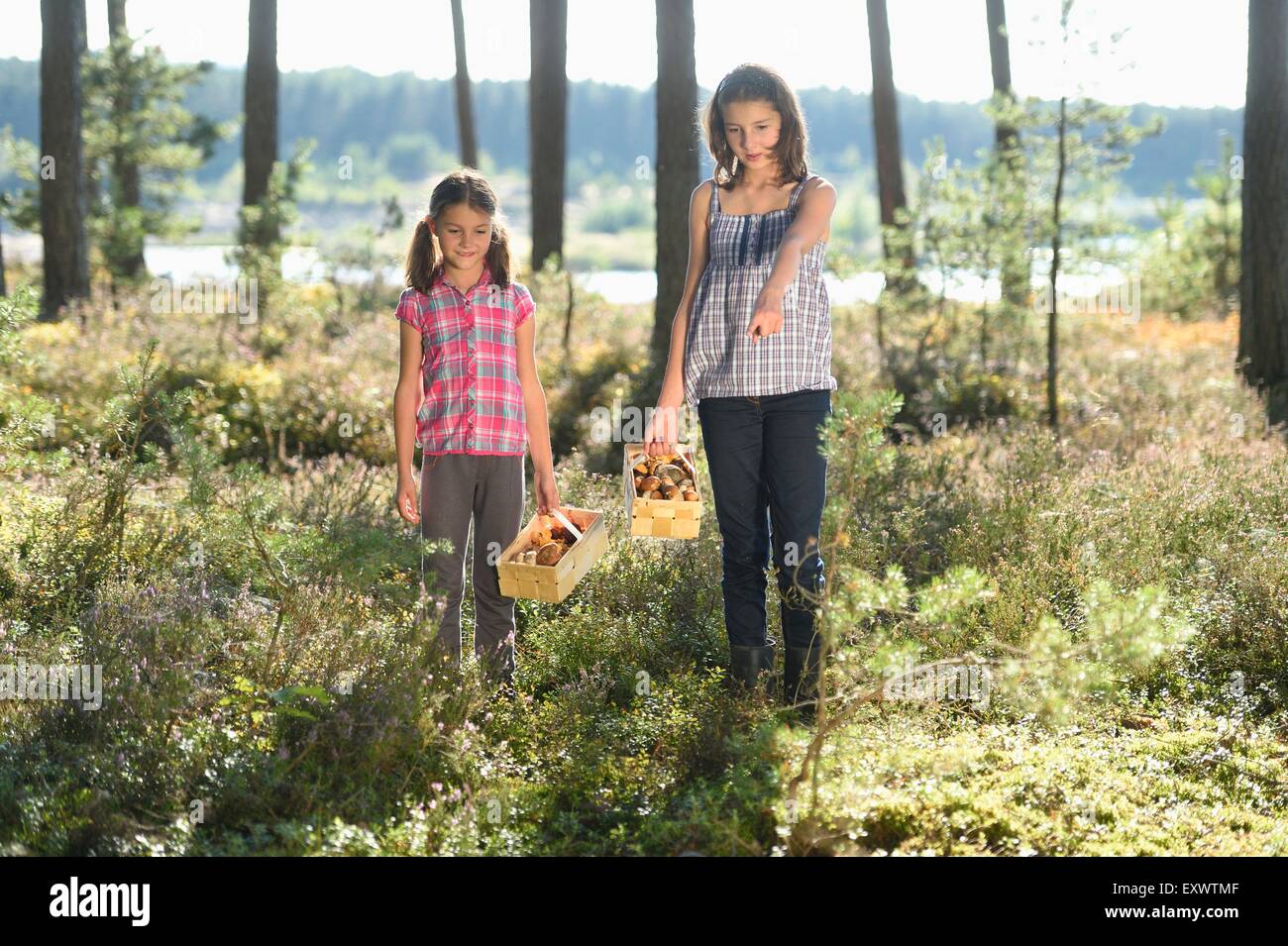 Two girls in forest hi-res stock photography and images - Alamy