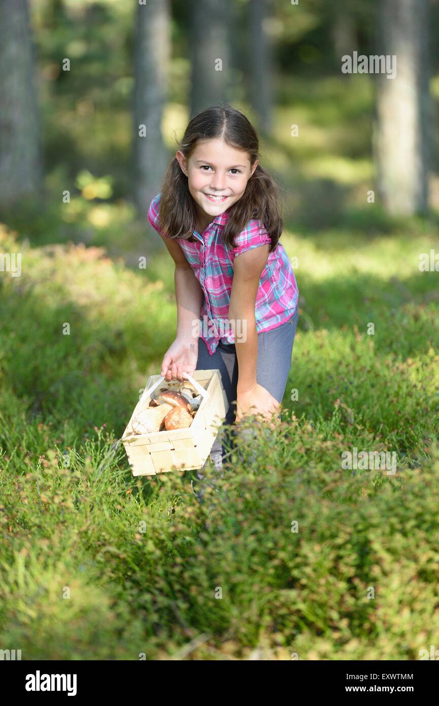 Girl collecting mushrooms in a pine forest Stock Photo