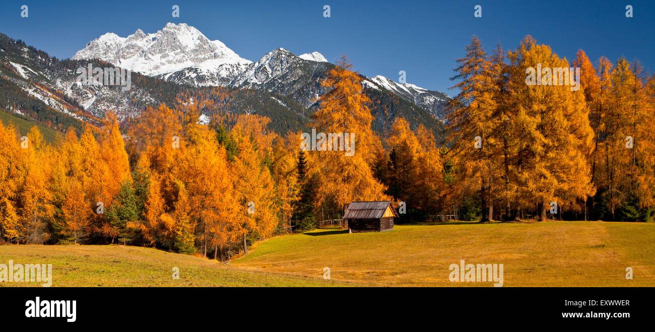 Mieming Mountains and larch forest, Tyrol, Austria, Europe Stock Photo