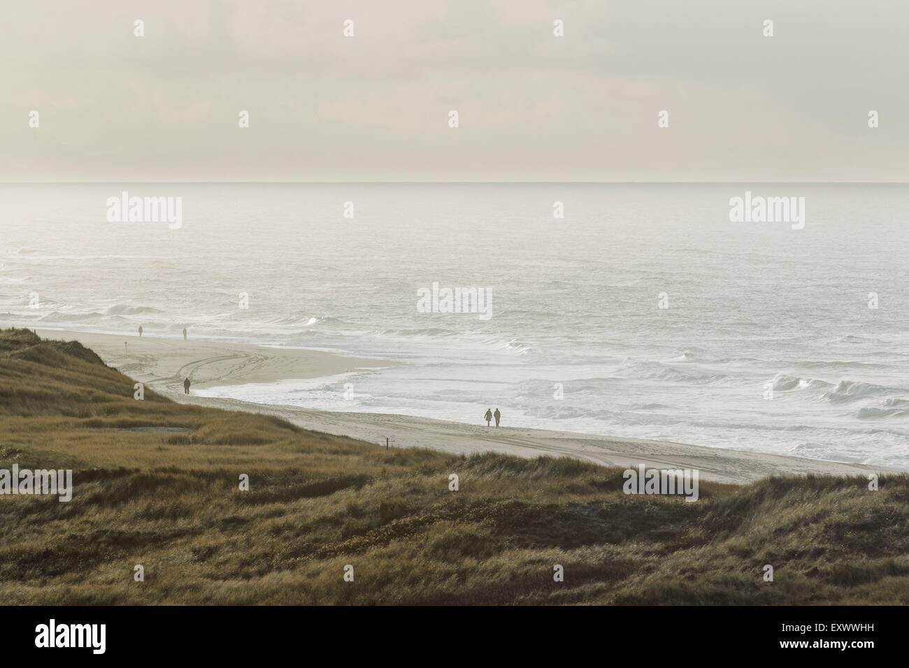 Dunes and beach at North Sea, List, Sylt, Schleswig-Holstein, Germany, Europe Stock Photo