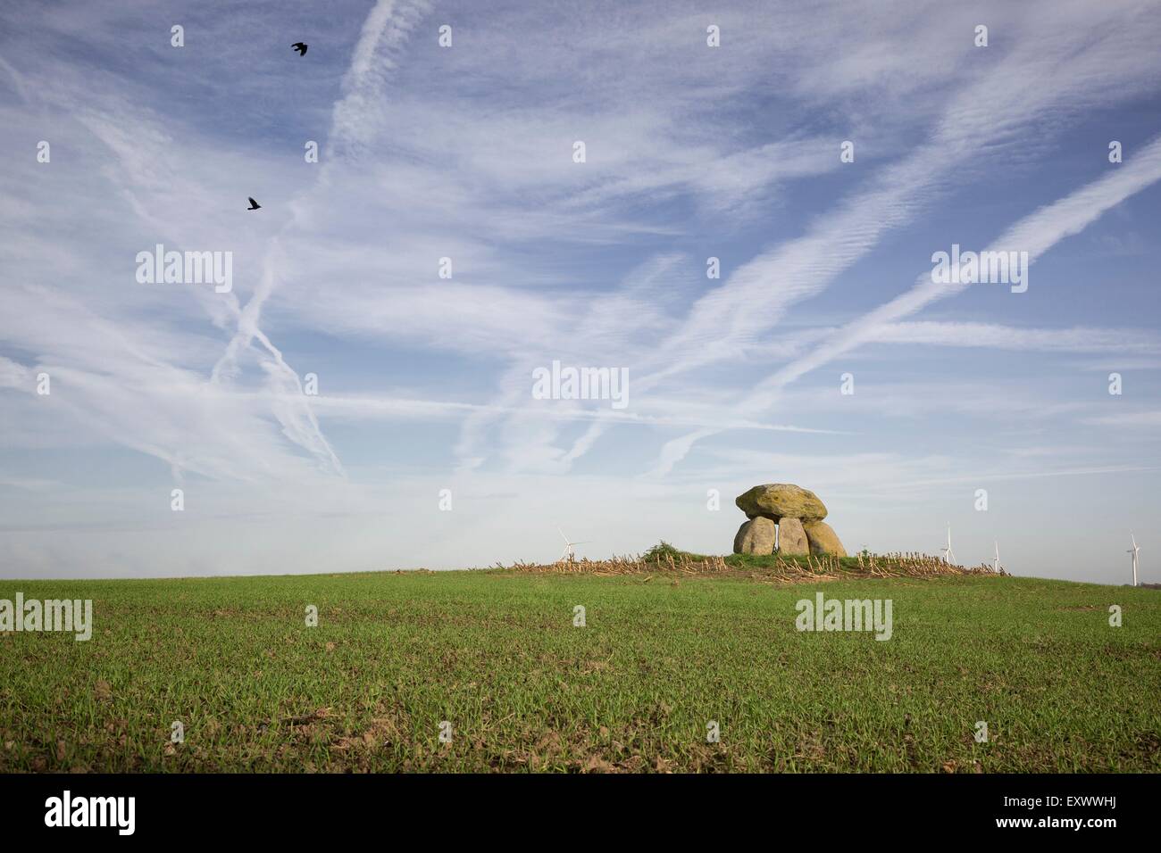 Dolmen on a field, Schleswig-Holstein, Germany, Europe Stock Photo