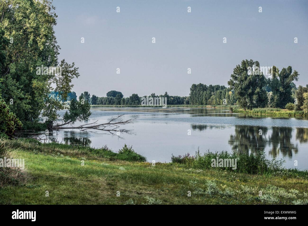 Lower Rhine near Birten, Xanten, Germany Stock Photo